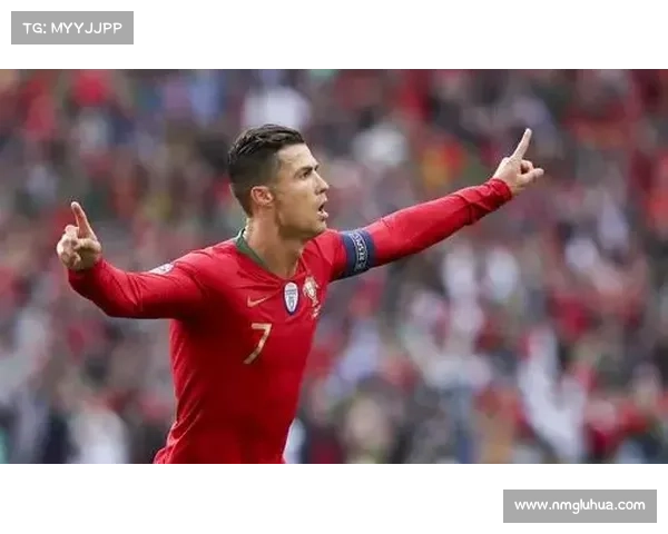 全面掌握葡萄牙足球队名称的实用查询方法与关键信息途径全指南篇